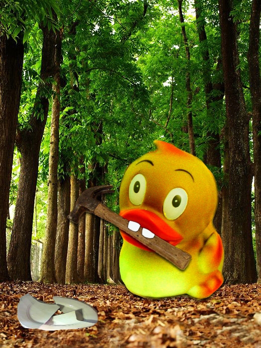 Creation of Hammer duck: Step 4